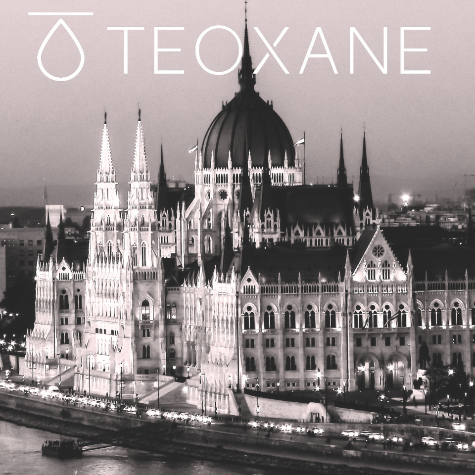 III  TEOXANE ACADEMY INJECTION SHOW